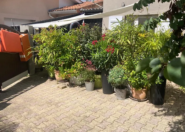 Daire Maisonnette 300m Arcachon